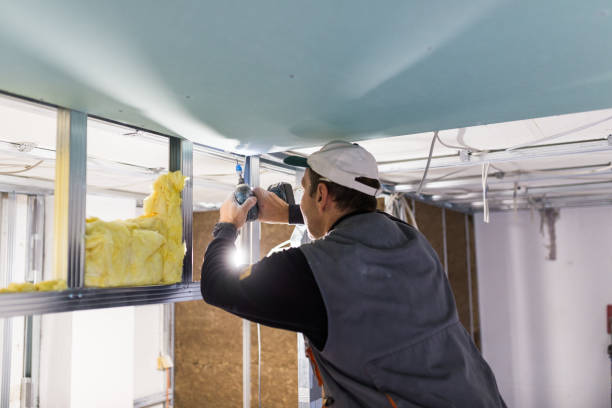 Best Cellulose Insulation  in , DC