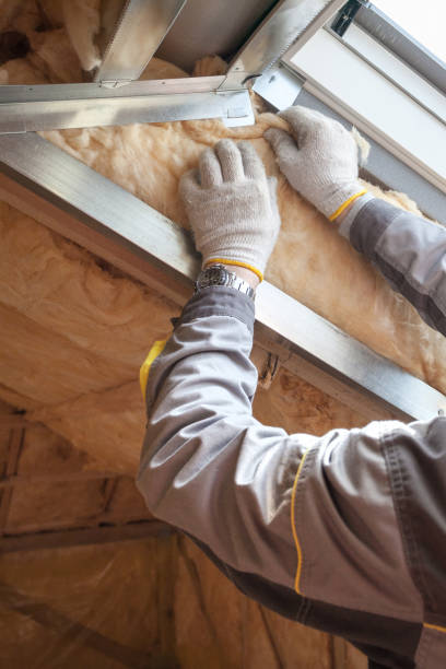 Best Insulation Replacement Services  in , DC