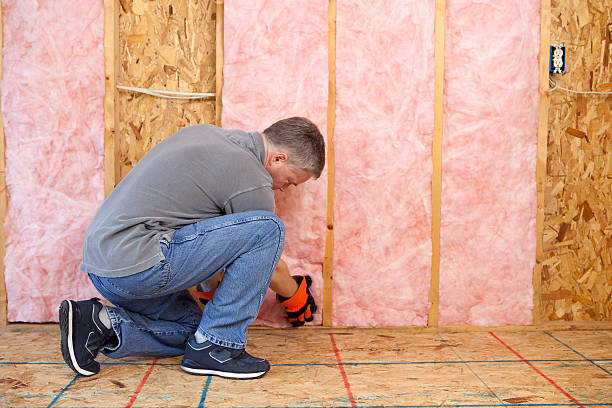 Best Soundproof Insulation Installation  in , DC