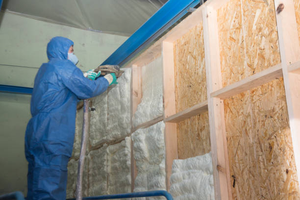 Best Professional Insulation Contractor  in , DC