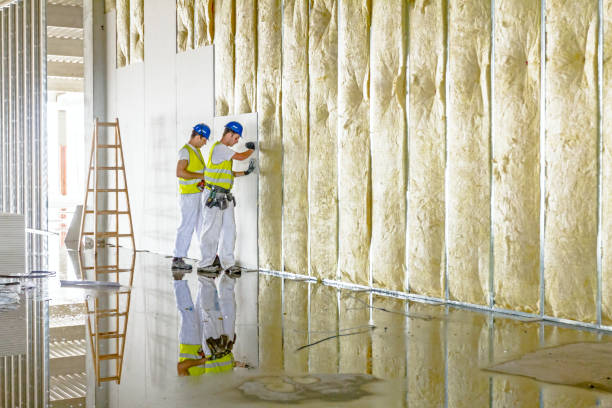 Best Insulation Contractor Near Me  in , DC